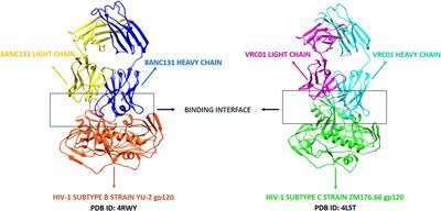 Design of human immunodeficiency virus-1 neutralizing peptides targeting CD4-binding site: An integrative computational biologics approach